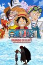 One Piece : Épisode de Luffy : Aventure sur l’île de la main
