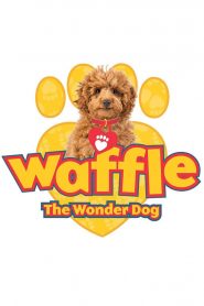 Waffle, le chien waouh