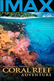 IMAX – Récifs Coralliens