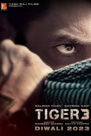 टाइगर 3