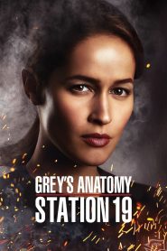 Grey’s Anatomy : Station 19