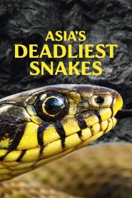 Asia’s Deadliest Snakes