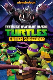 Teenage Mutant Ninja Turtles: Enter Shredder