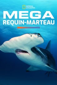 MEGA Requin Marteau