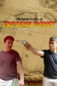 The Adventures of IB