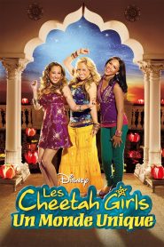 The Cheetah Girls 3 : Un monde unique