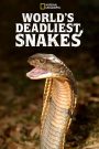 Un monde mortel : redoutables serpents
