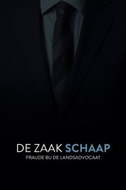De Zaak Schaap: fraude bij de landsadvocaat