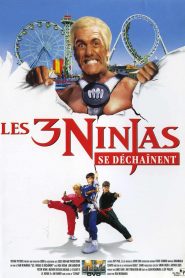 Ninja Kids 4 : Les 3 Ninjas se déchaînent