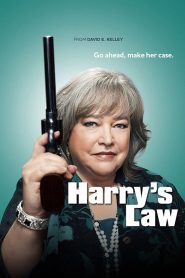 Harry’s Law : La Loi Selon Harry